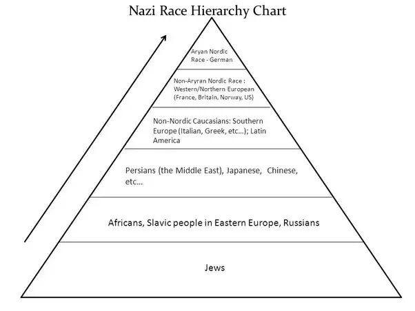 What was the Nazis' racial hierarchy? - Quora