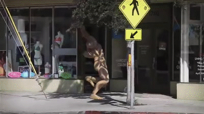 MYaDl6.gif