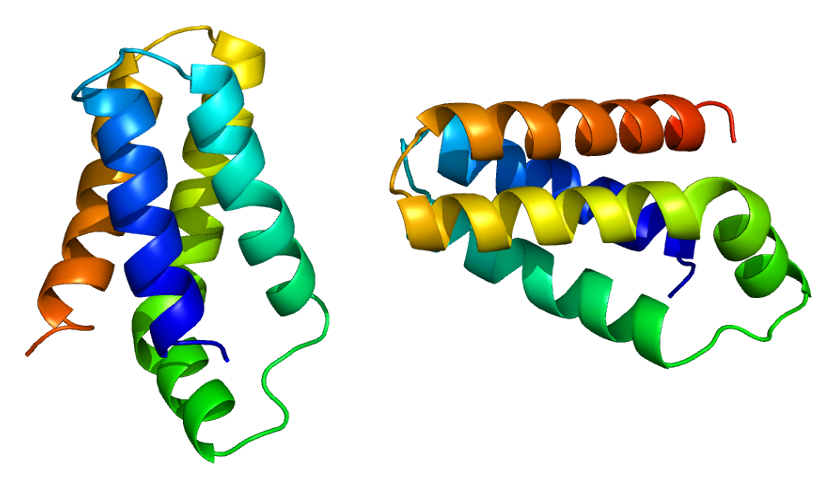 Protein_FRAP1_PDB_1aue.png