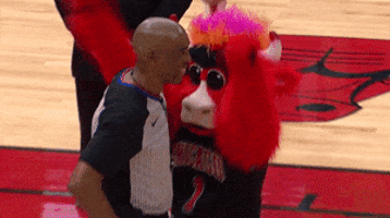 benny the bull lol GIF by NBA
