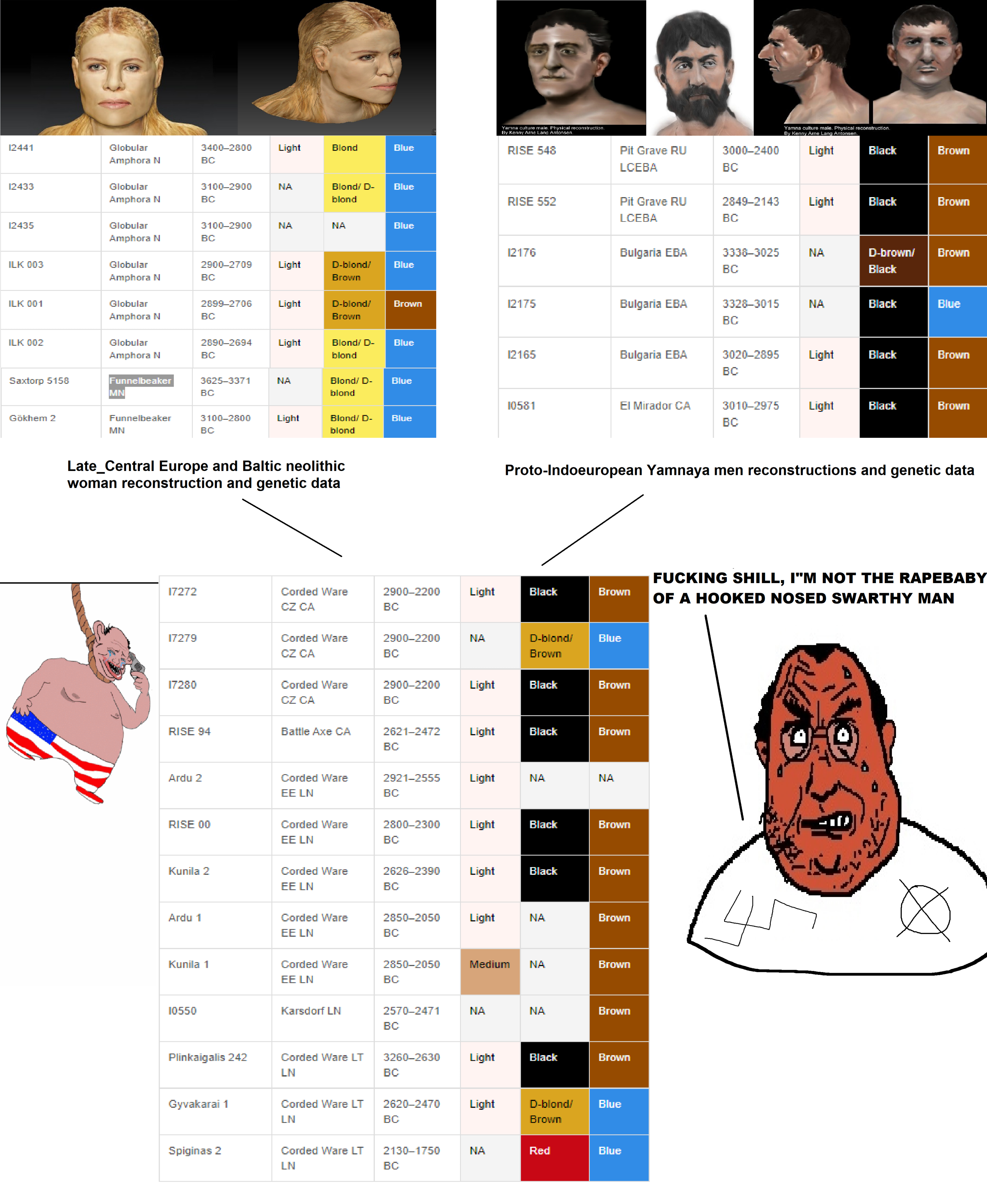 f1c.png