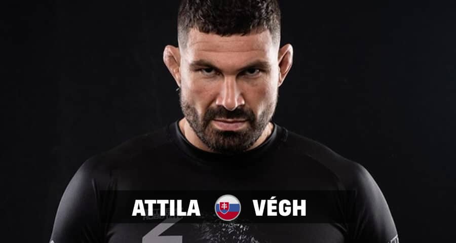 ATTILA-VEGH-profil-2.jpg