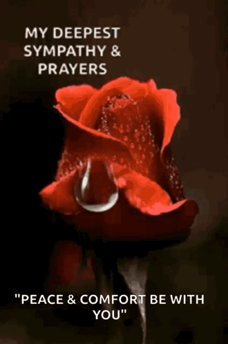 condolences-sympathy.gif