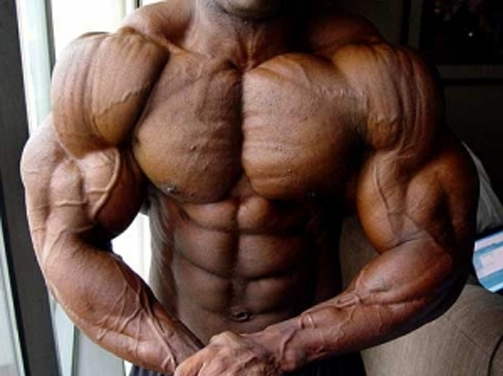 insidebodybuilding.com