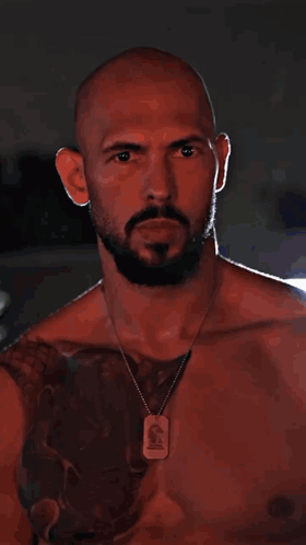 a bald man with a beard wears a necklace with a tag that says s on it