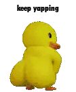 Keep Yapping Duck Duck Shaker Sticker - Keep yapping duck ...