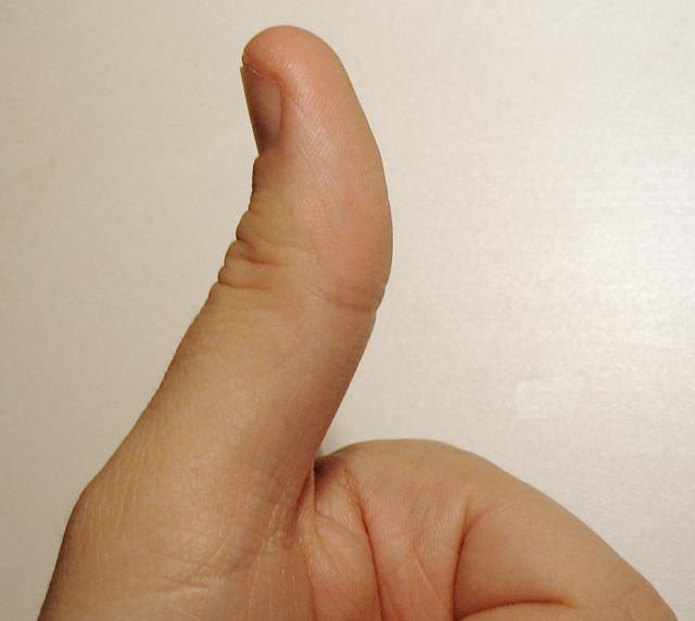 Image result for thumb