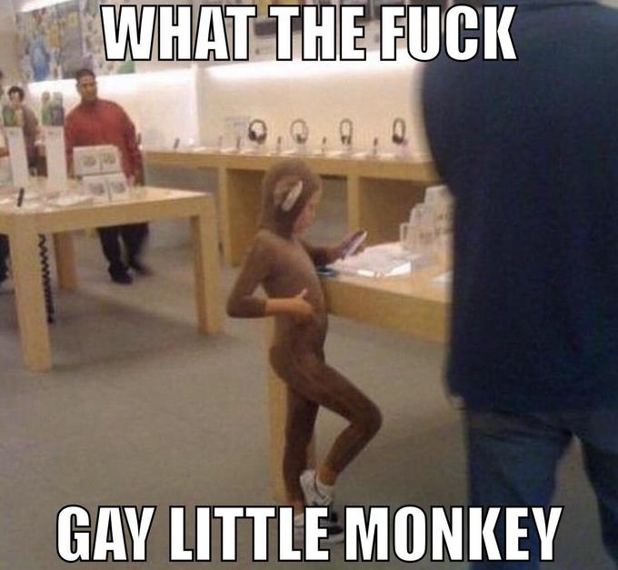WHAT THE F--- GAY LITTLE MONKEY