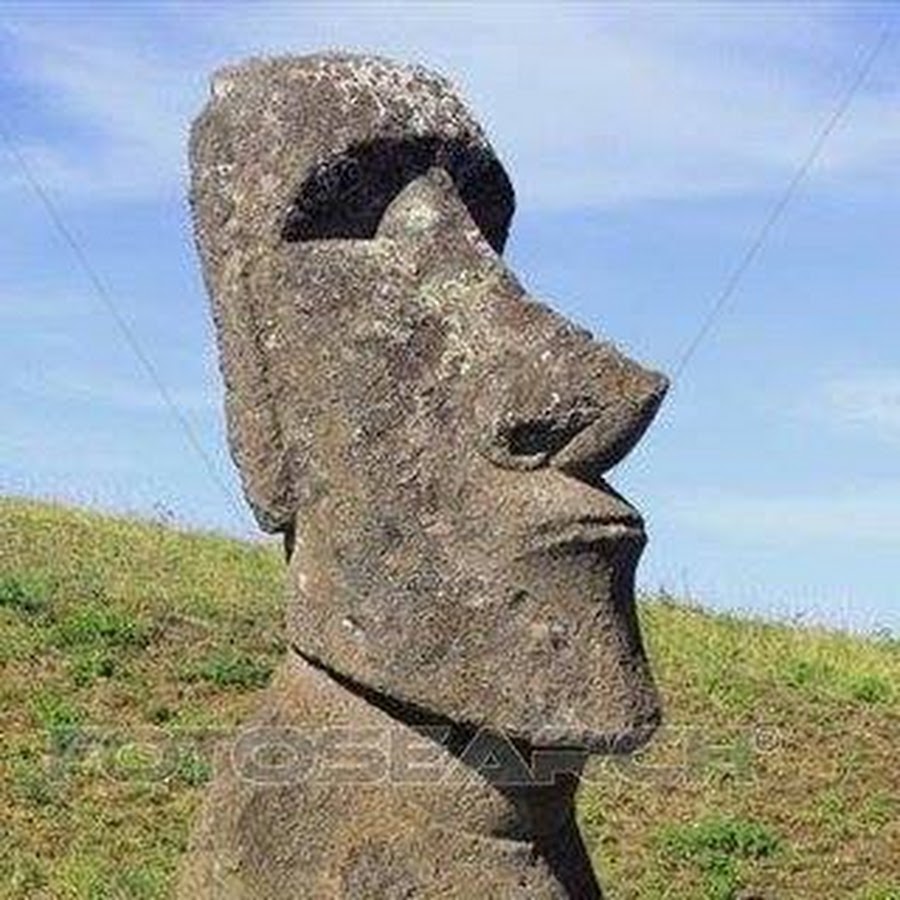AMLnZu9kNmtjU9DbAC9vPOsQc3ASEfmJ3xE9kGEVJGeO=s900-c-k-c0x00ffffff-no-rj