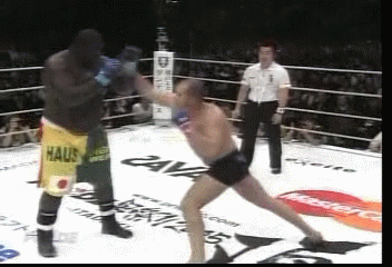 fedor_20vs_20zulu.gif