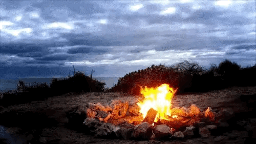 2b6a445f27e272bc61db18b7482926aa.gif