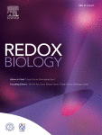 www.sciencedirect.com