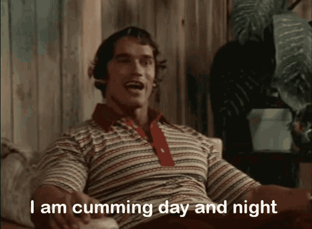 arnold-schwarzenegger.gif