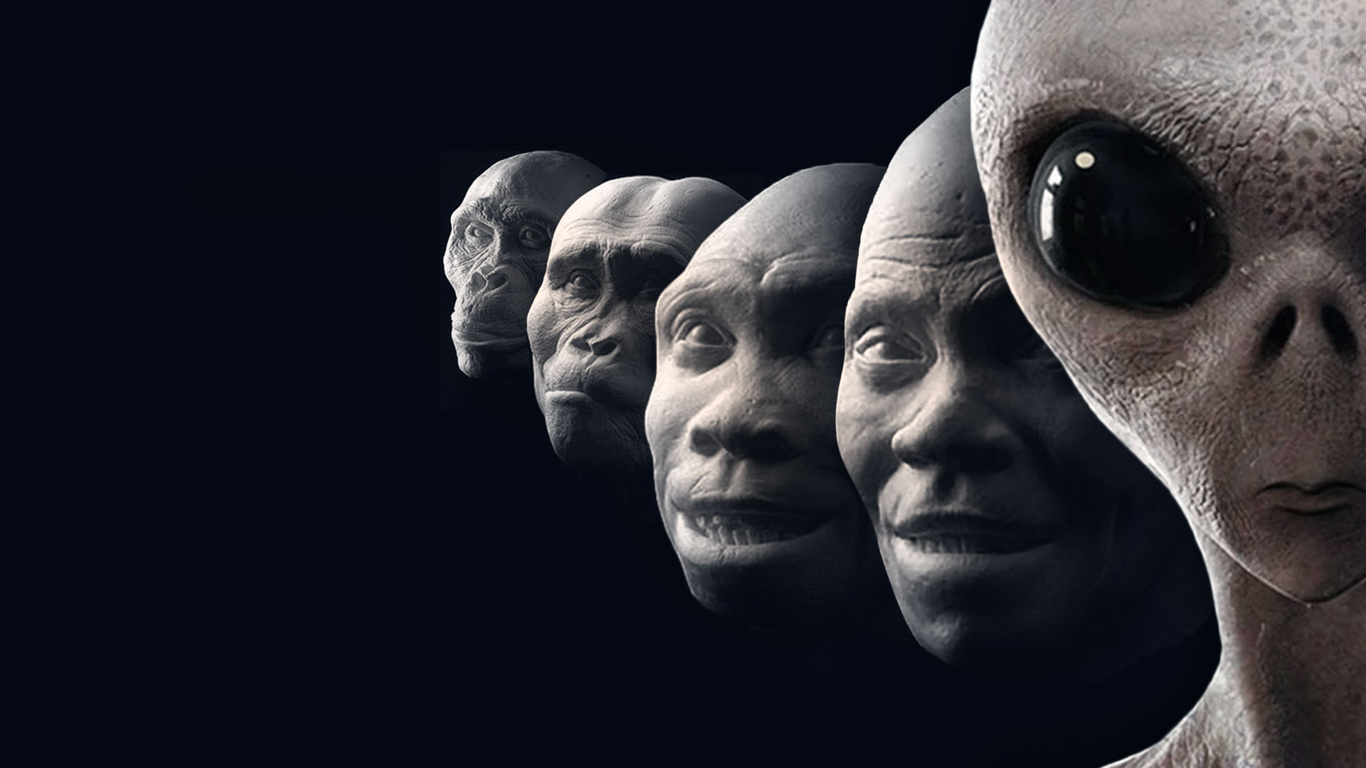 Future-human-evolution.jpg