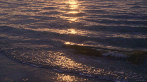 73566baa9541941de51b7875b73f5fea.gif