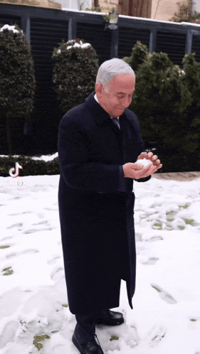israel-netanyahu.gif
