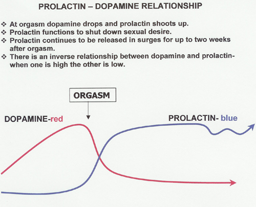 prolactin.jpg