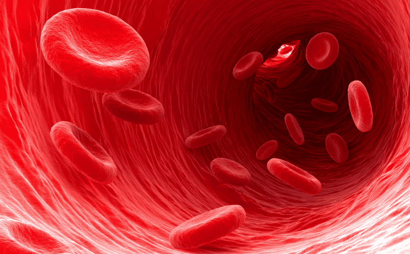 Red-blood-cells.png