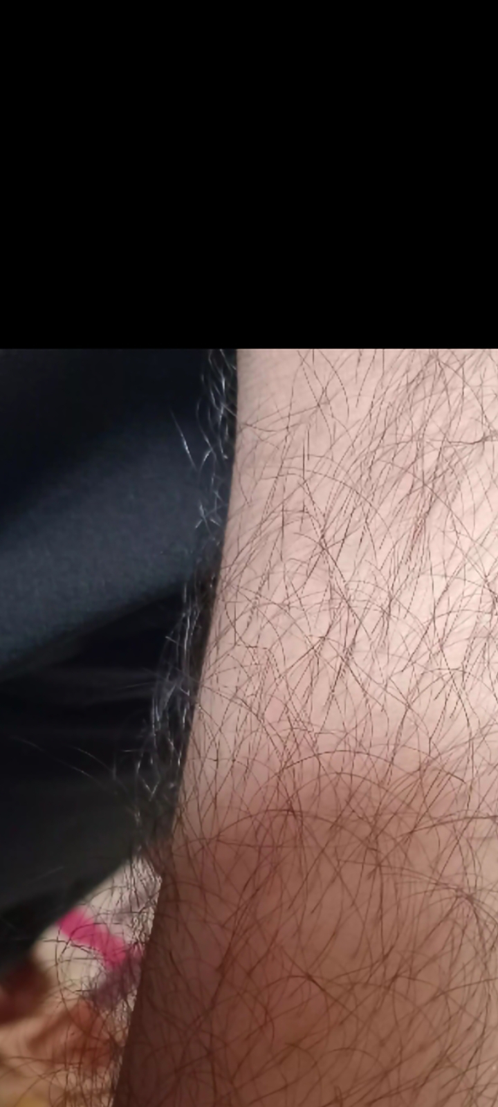 6569966_1000029044.jpg