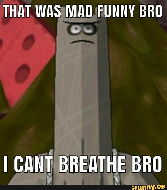 THAT WAS MAD FUNNY BRO I CANT BREATHE BRO - )