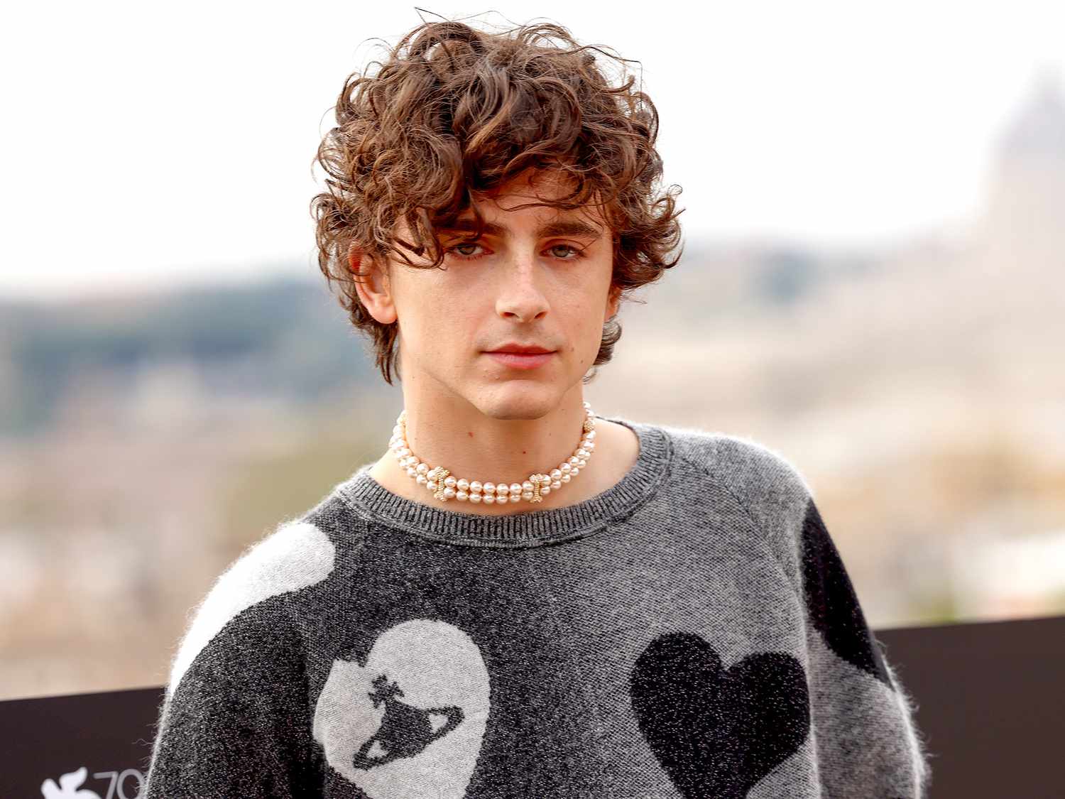 timothee-chalamet-d15ef496675d4de6b50afc8d28c6653f.jpg