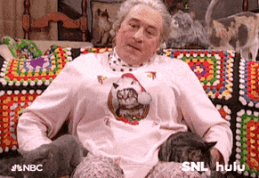 saturday night live snl GIF by HULU