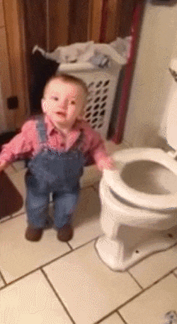 giphy.gif