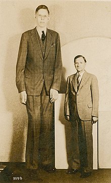 220px-Robert_Wadlow_postcard.jpg