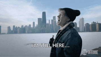 season 4 showtime GIF by Shameless