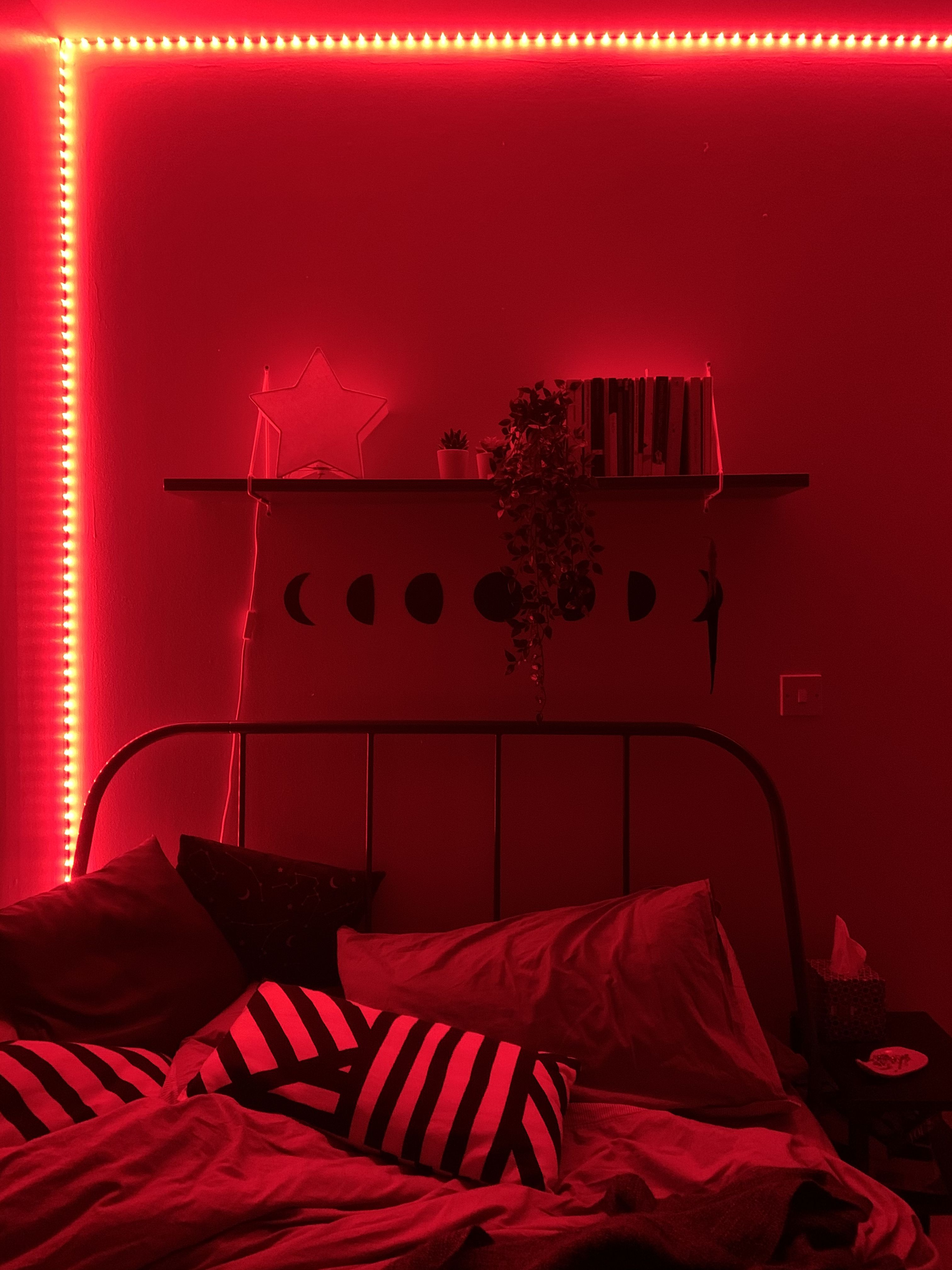 c6e3d3a4477f91ecde5211f1e38bb646.jpg