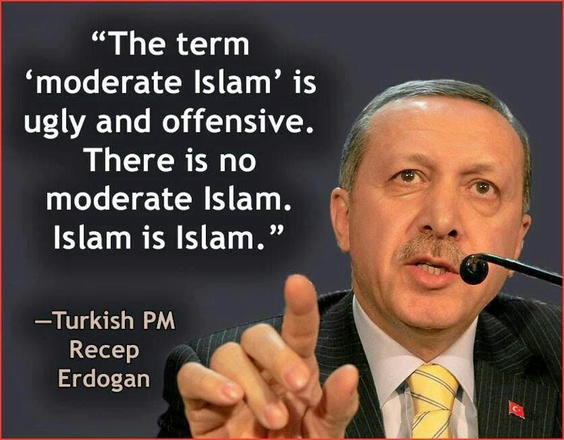 TurkeyErdogan-IslamIsIslam.jpg