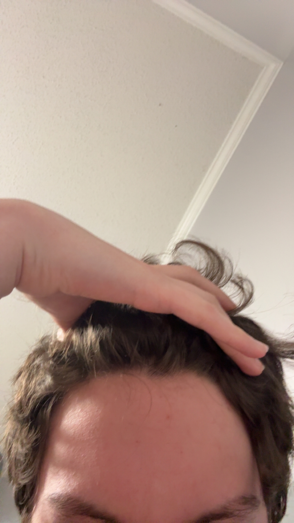 6972427_IMG_8075.jpeg