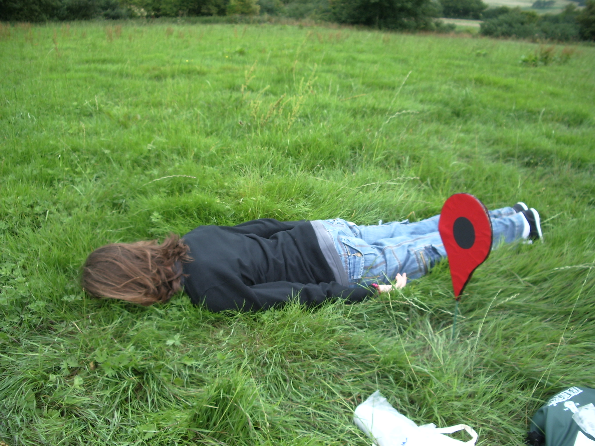 Planking – Wikipedia, wolna encyklopedia