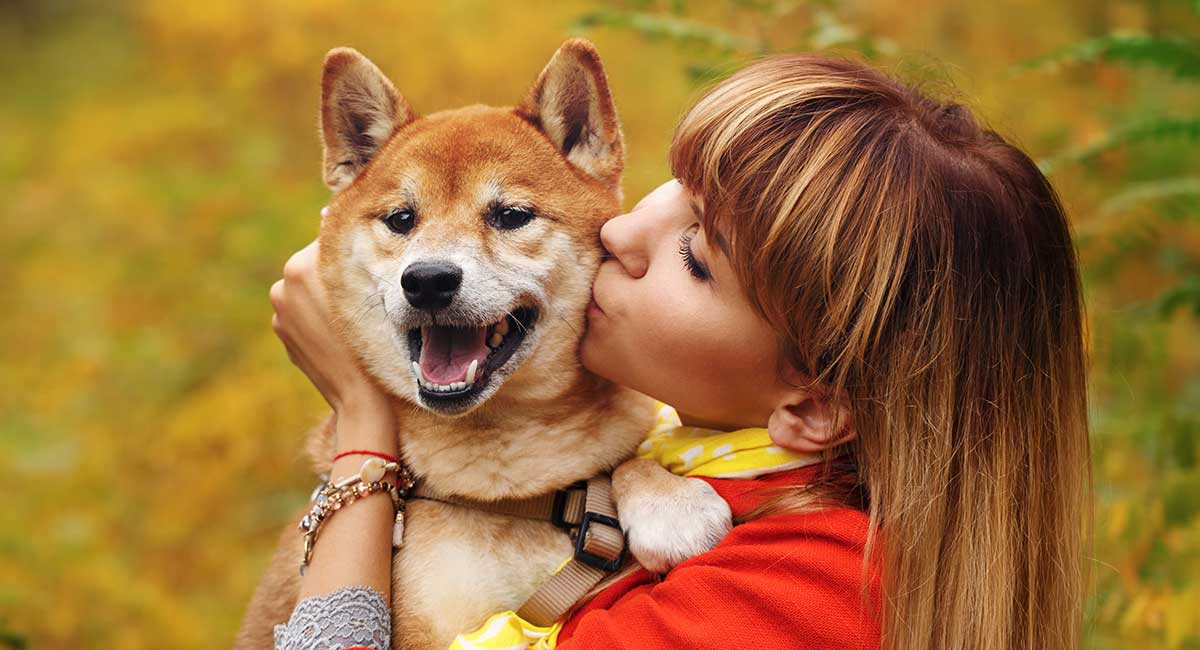 Do-Dogs-Like-Kisses_-HP-long.jpg