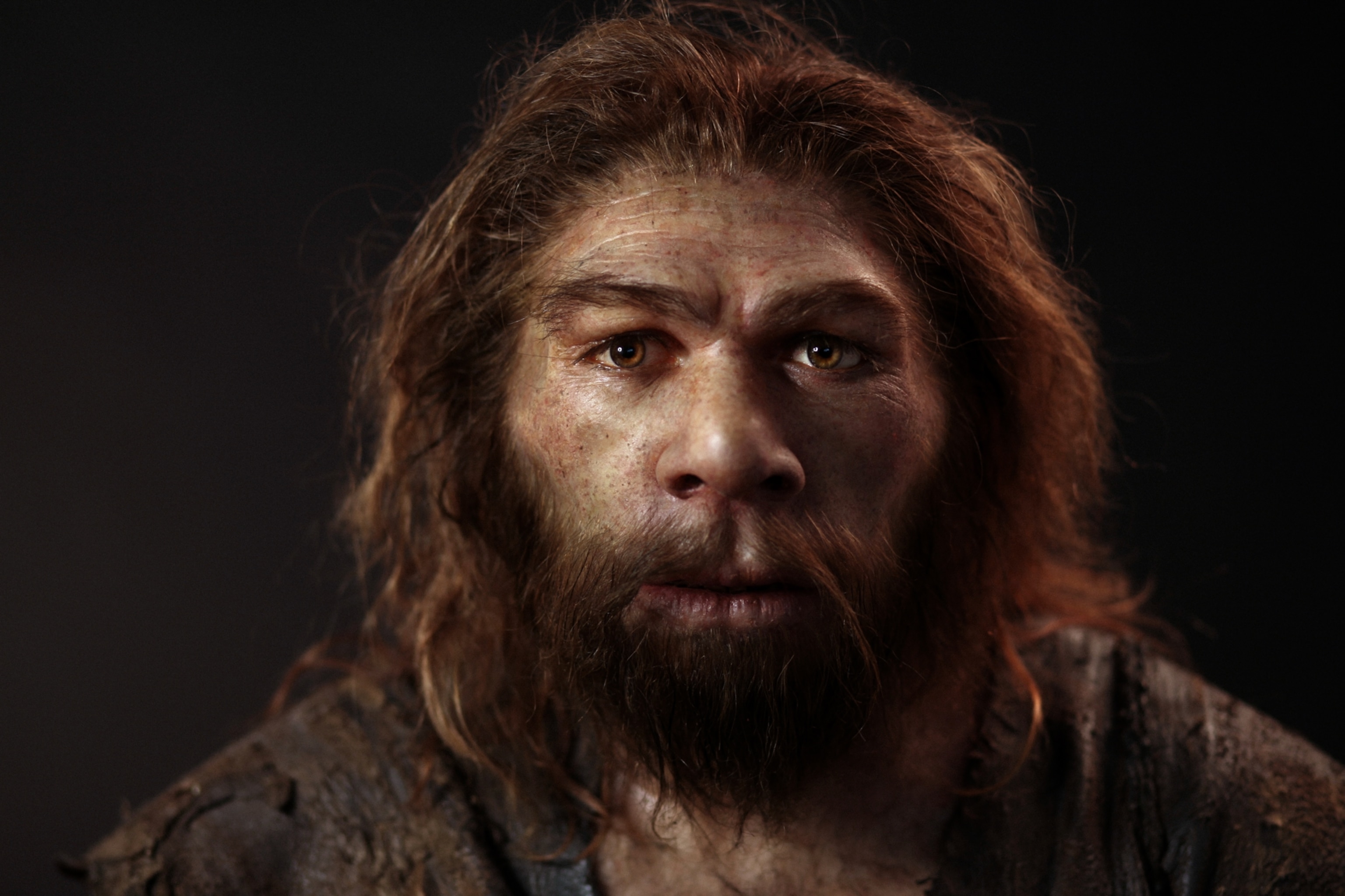 C0523194-Neanderthal_model.jpg