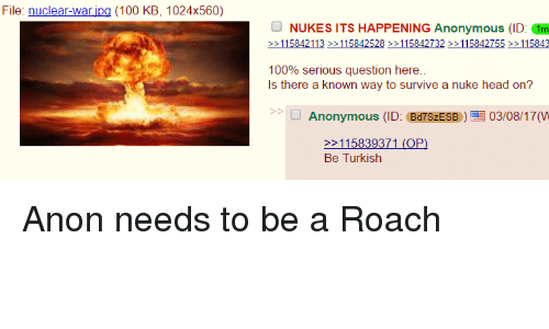3191326_1670327907896.png