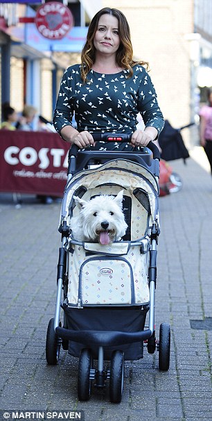 The new treat for a pampered pooch? A doggie pram (after all, every mother  knows how important the 'buggy years' are) | Daily Mail Online