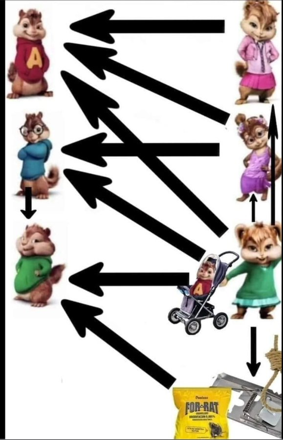 4956189_1747280223284.png