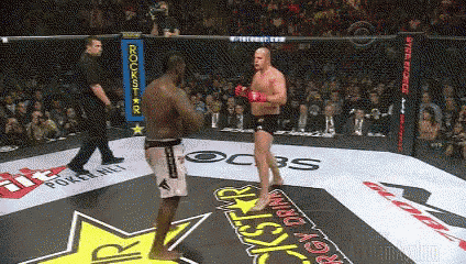 fedor-knock-out.gif
