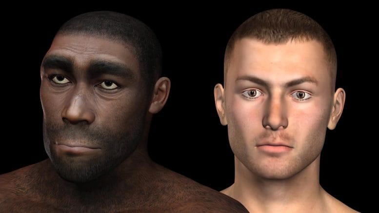 2479554_Human-Neanderthal-Concept-777x437.jpg