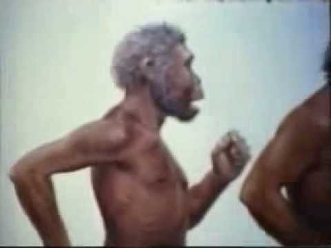 youtu.be