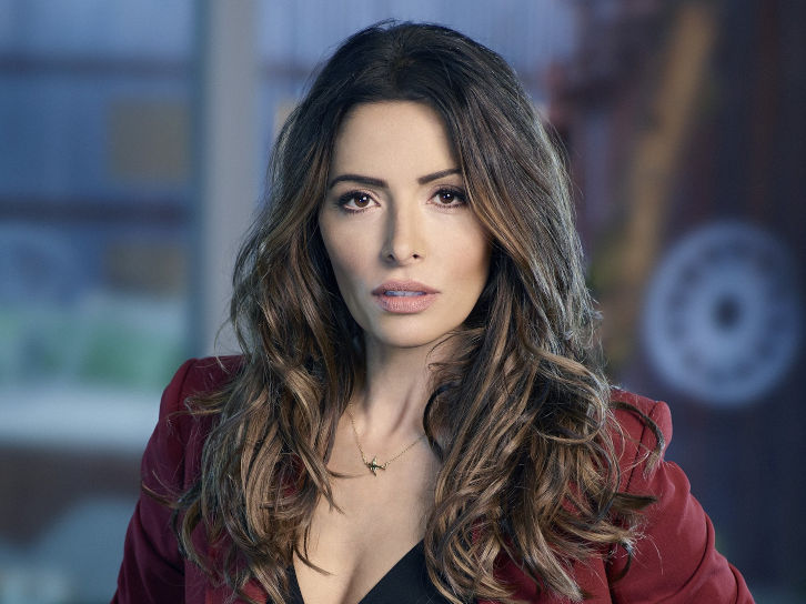 sexlife-sarah-shahi-cast-as-lead.jpg