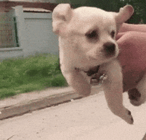 flying i believe i can fly GIF