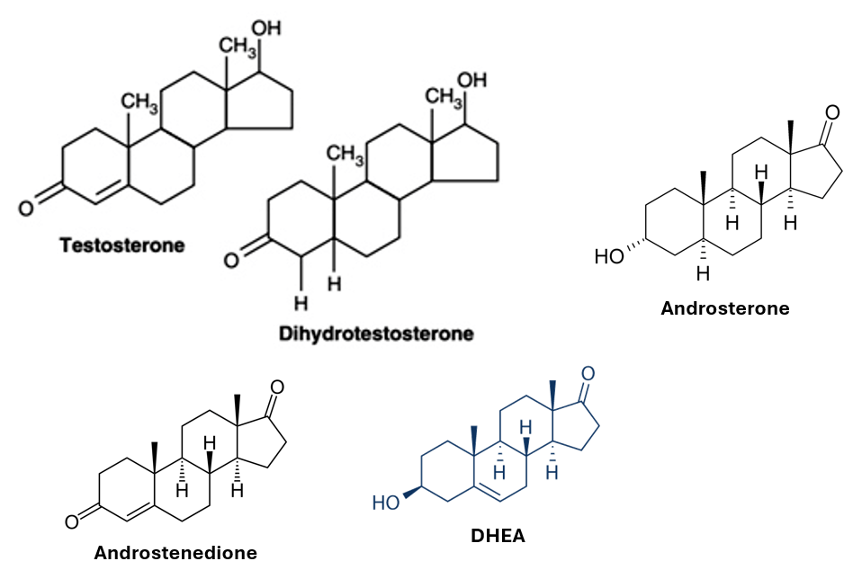 Different-androgen-structure.png