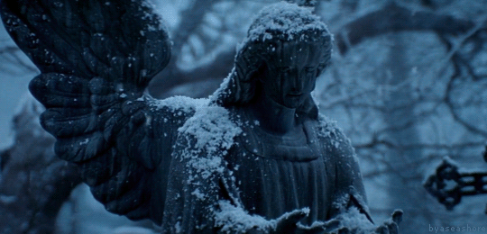 18377767d98809167b7e5c18a652f93e.gif