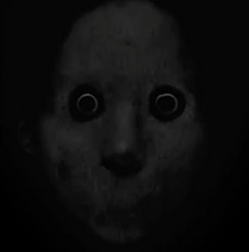 1777525838339