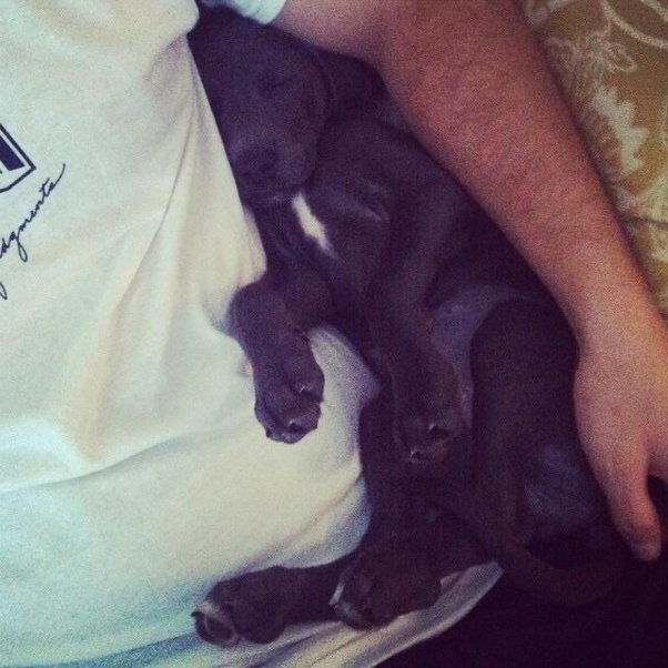 main-qimg-fe7b6b9ad544614daf2abaf818ae700b-lq