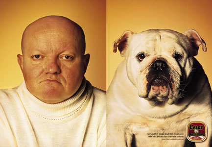 funny-similarity-2.jpg