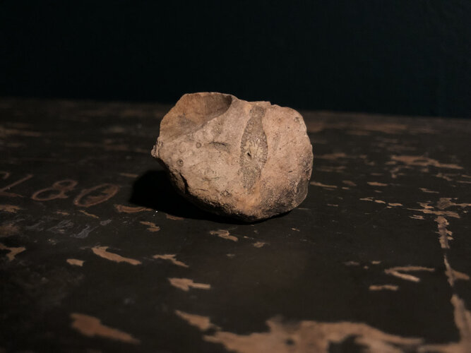 https://i.looksmax.org/attachments/2024/12/thumb/4552173_rock1.jpg