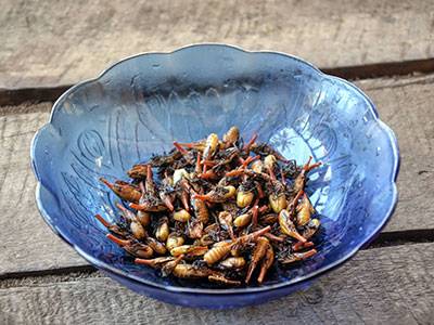 Cooked-sakondry-bacon-bugs-in-bowl.jpg